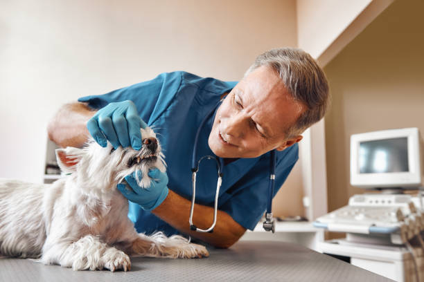 Best Emergency Tooth Extraction in Fairview Park, IN